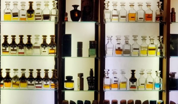 Aesthetic arrangement of diverse perfume bottles on illuminated shelves showcasing luxury fragrances.